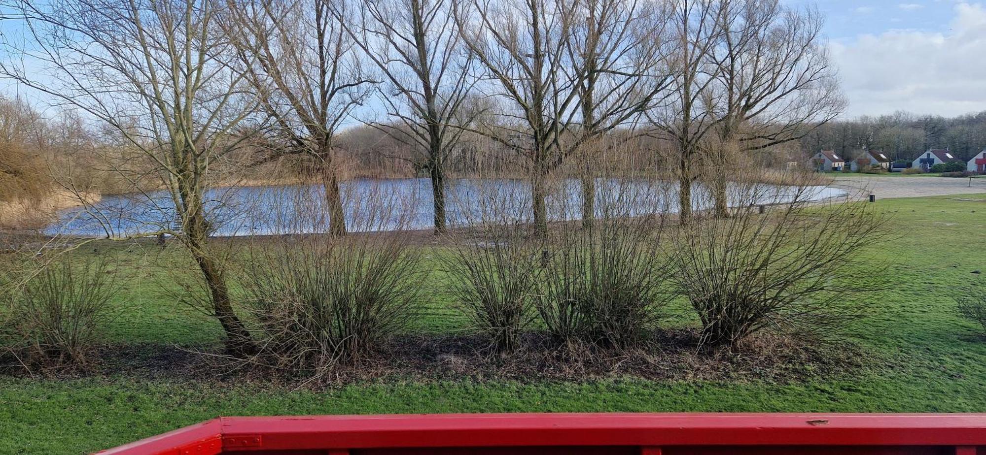 Lakeview 'Rotorua' 4-6 Pers By Kawatea Cottages Ewijk Esterno foto